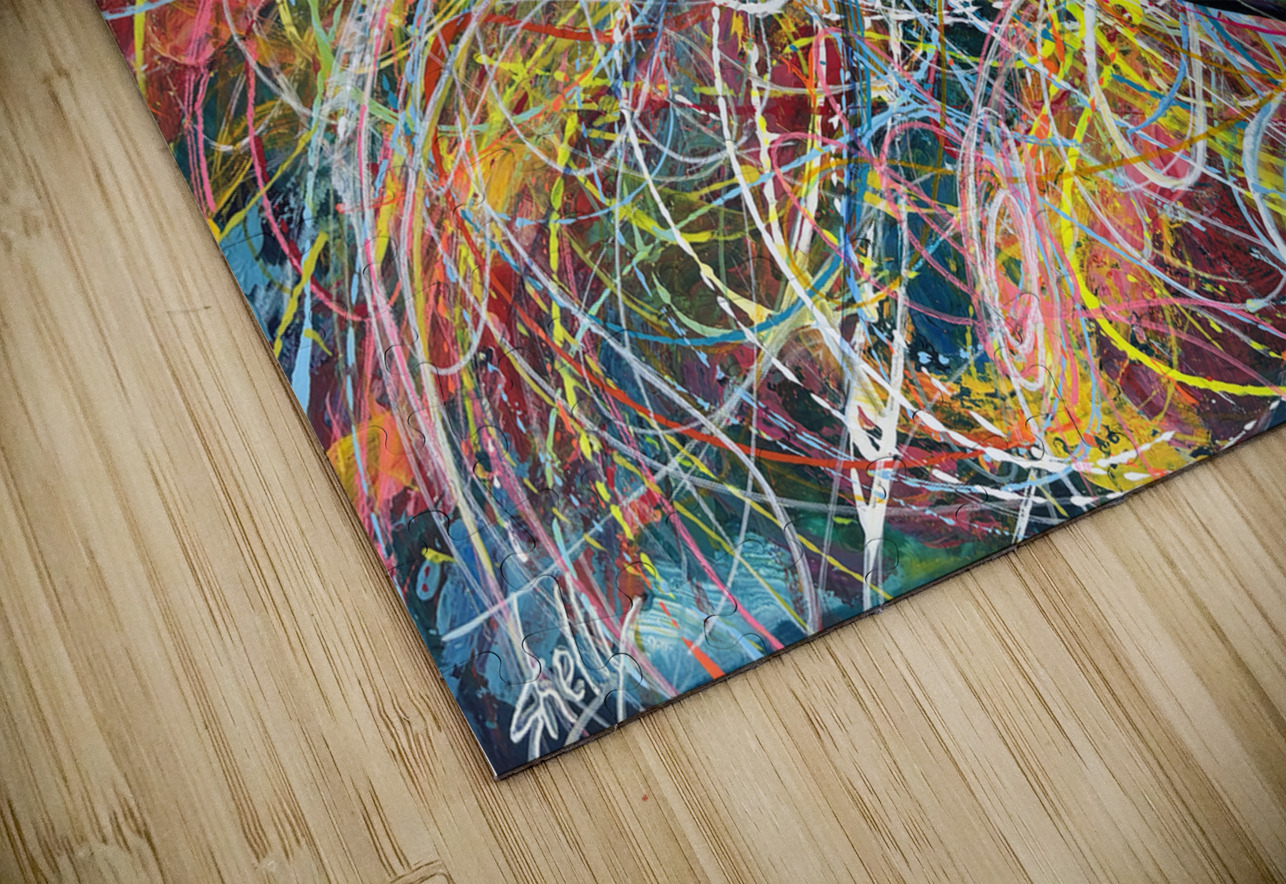 Meteor Trails Shelly Leit Puzzle